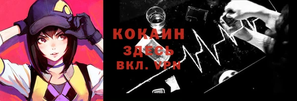 тгк Бородино