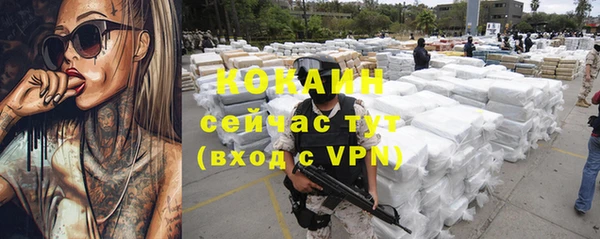 тгк Бородино