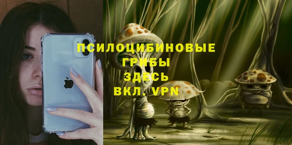 амф Бугульма