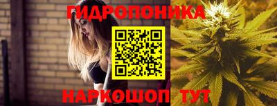 молекула духа Анапа