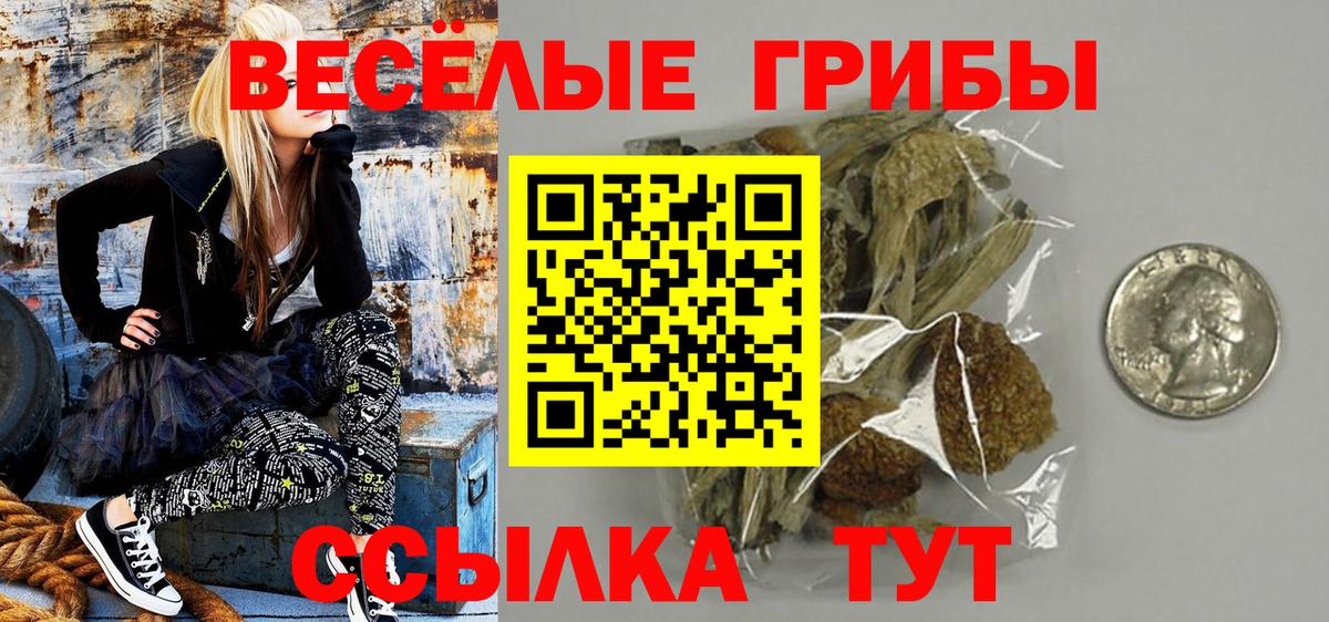 Псилоцибиновые грибы прущие грибы Мончегорск